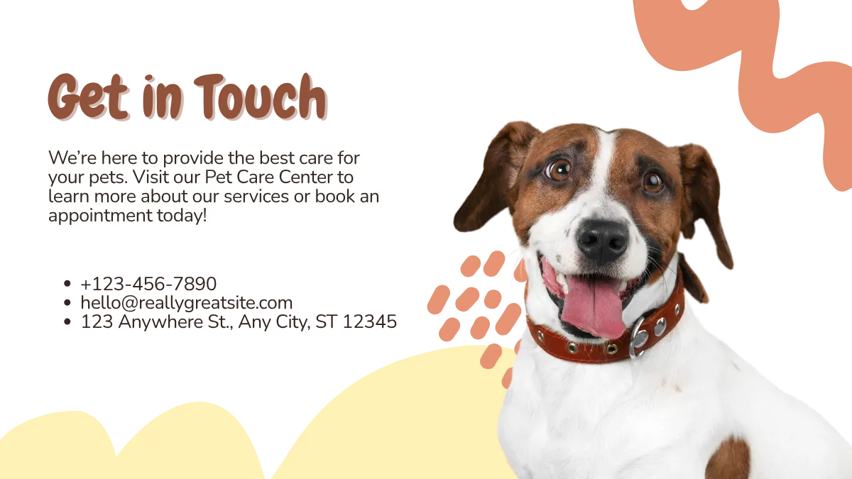 Cuidando do seu pet com carinho