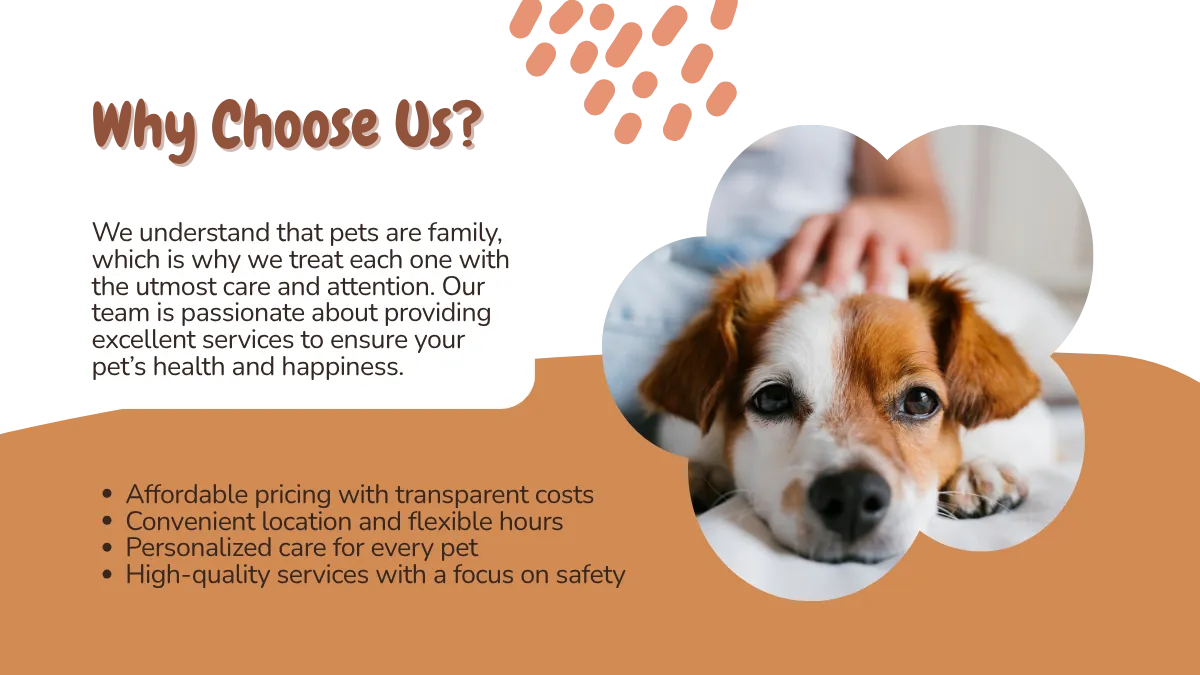 Um carinho sempre cai bem