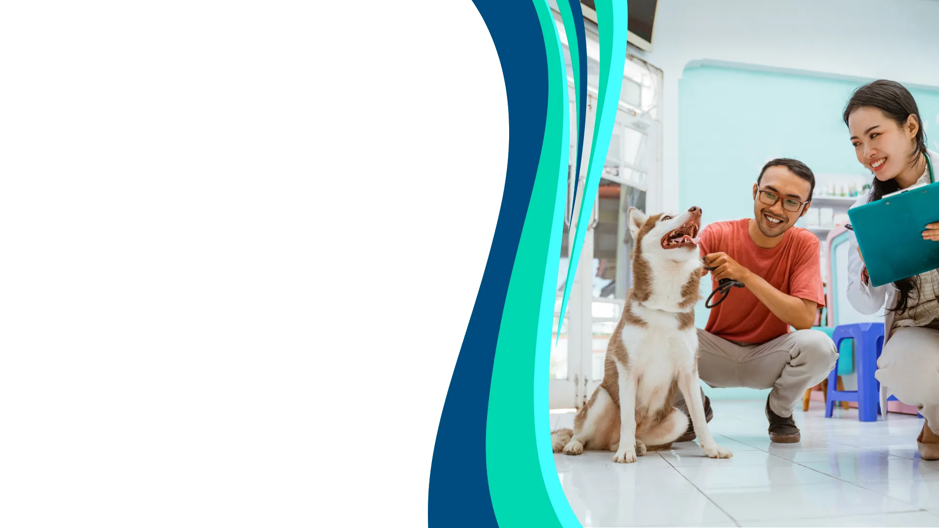 Como identificar problemas de pele em cães e gatos: sinais de alerta que merecem atenção